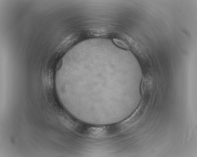 X0000115450170200912021013