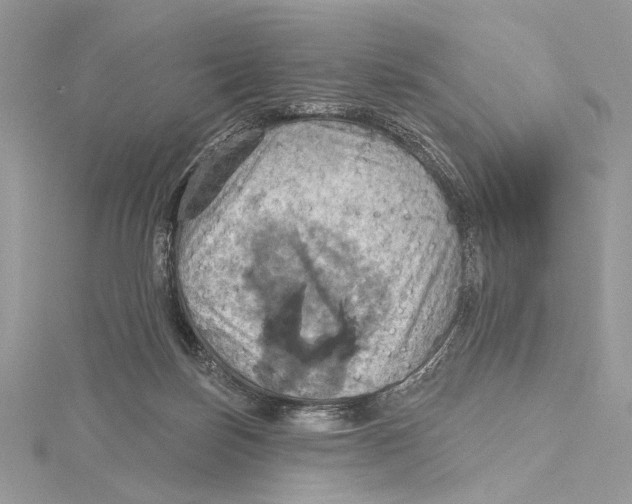 X0000115450171200912021013