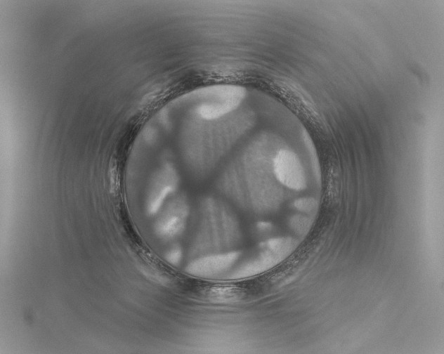 X0000115450173200912021013