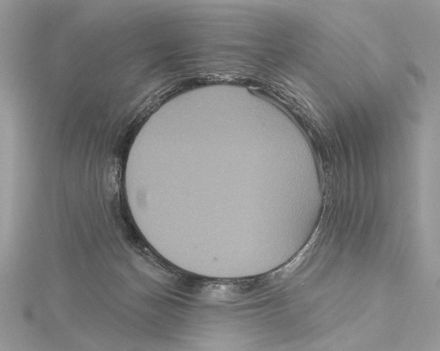 X0000115450174200912021013