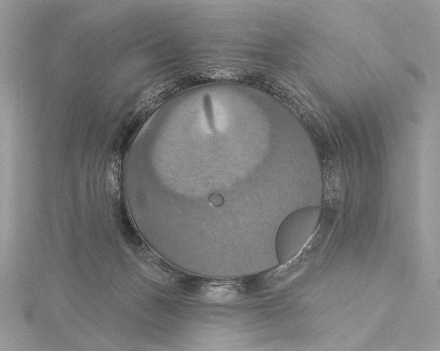 X0000115450175200912021013