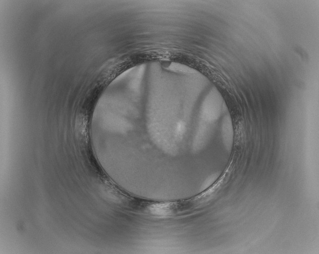 X0000115450178200912021014