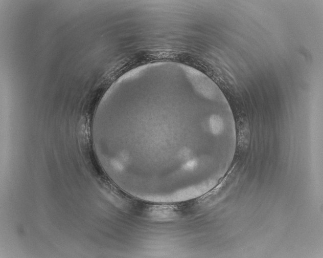 X0000115450179200912021014