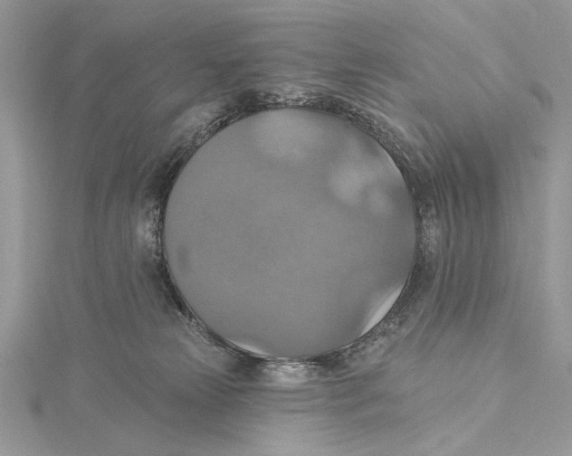 X0000115450181200912021014