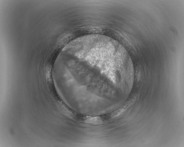 X0000115450185200912021014