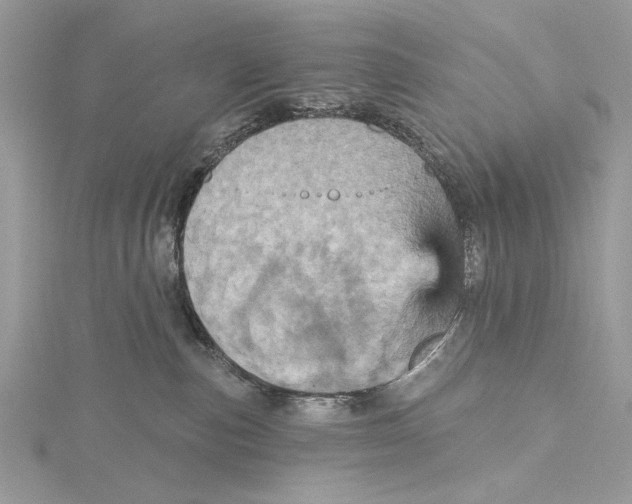 X0000115450187200912021014