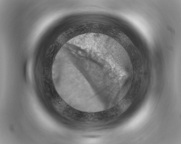 X0000115450189200912021014