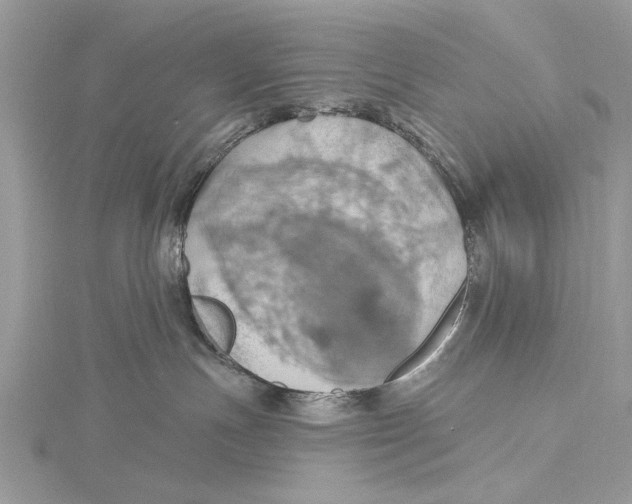 X0000115450191200912021014