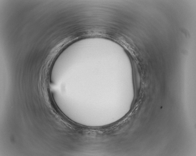 X0000115450193200912021013