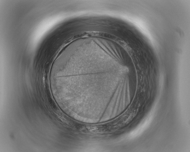 X0000115450194200912021013