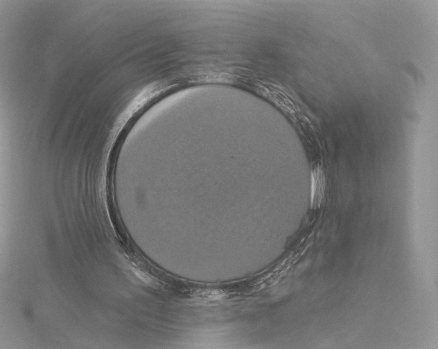 X0000115450195200912021013