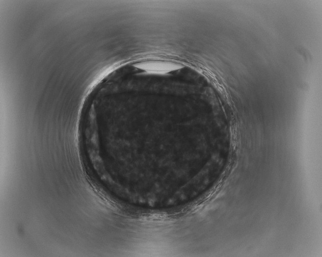 X0000115450196200912021013