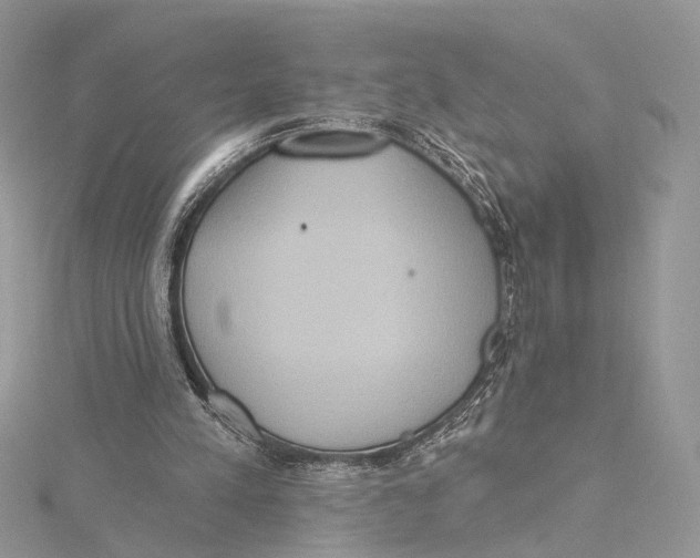 X0000115450197200912021013