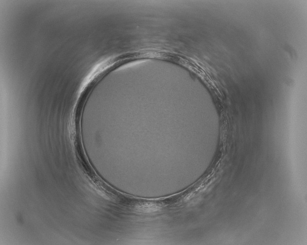 X0000115450198200912021013