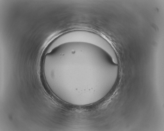 X0000115450199200912021013