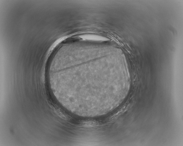 X0000115450200200912021013