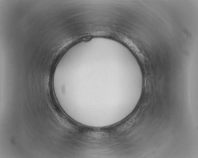 X0000115450201200912021013