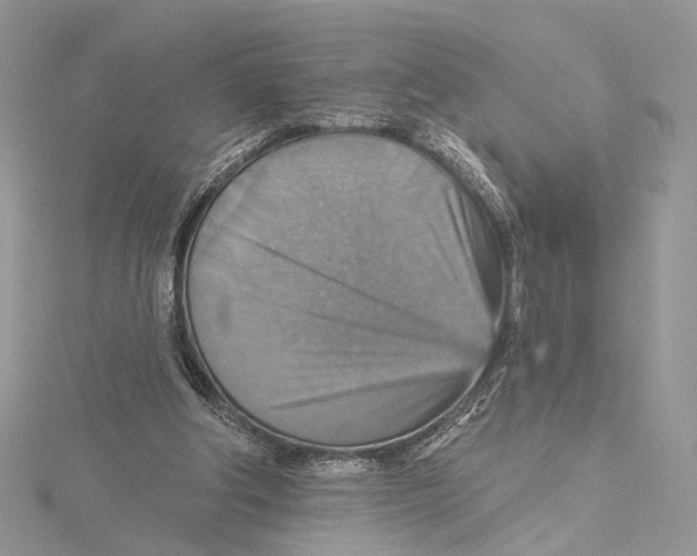 X0000115450202200912021013