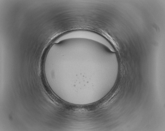 X0000115450203200912021013