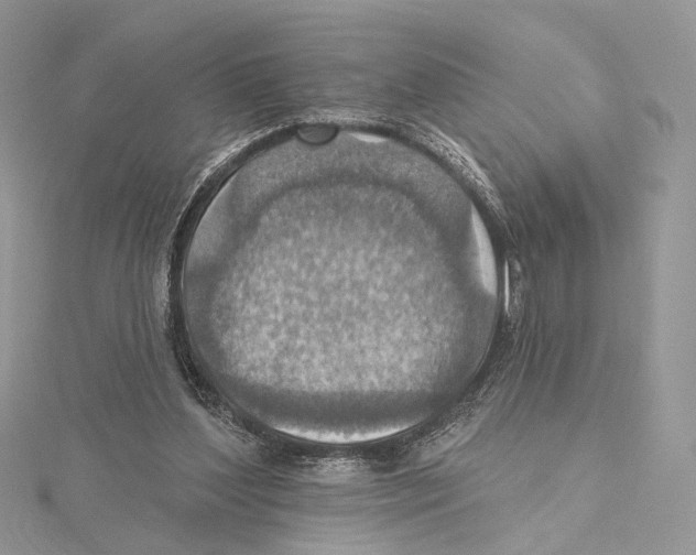 X0000115450204200912021013