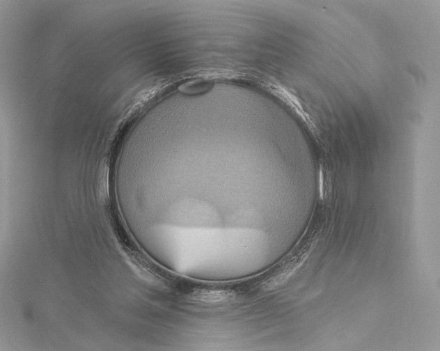 X0000115450205200912021013