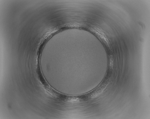 X0000115450206200912021013