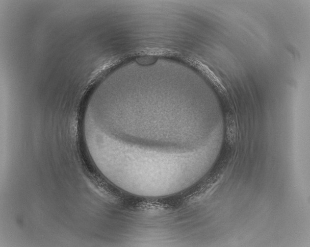 X0000115450207200912021013