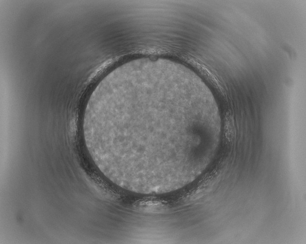 X0000115450208200912021013