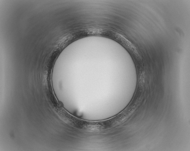 X0000115450209200912021013