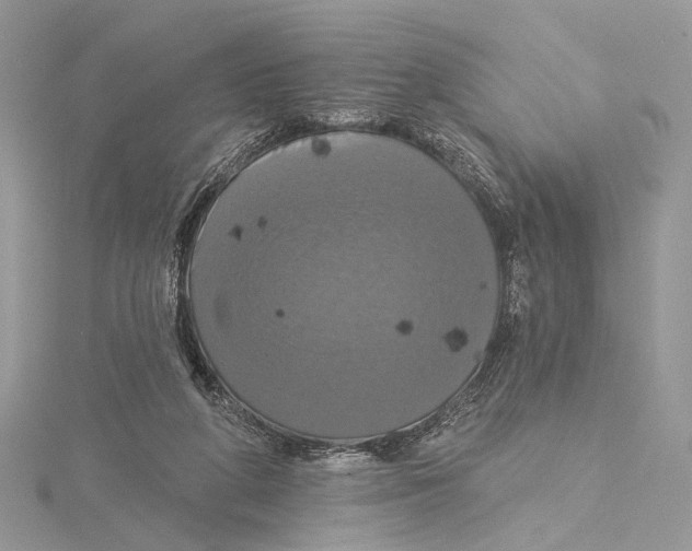 X0000115450210200912021013