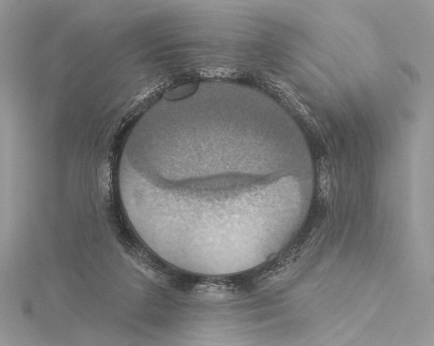 X0000115450211200912021013