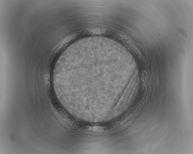 X0000115450212200912021013