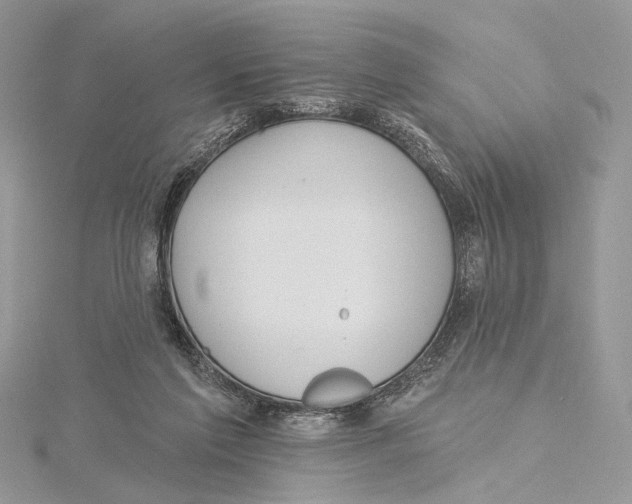 X0000115450213200912021013