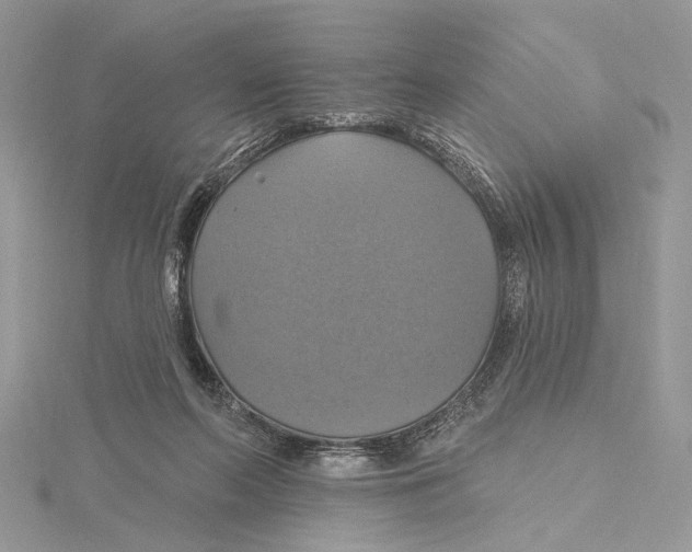 X0000115450214200912021013