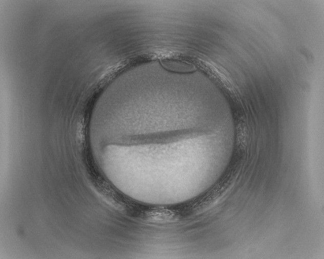 X0000115450215200912021013