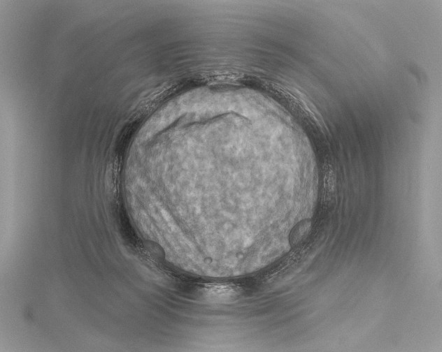 X0000115450218200912021013