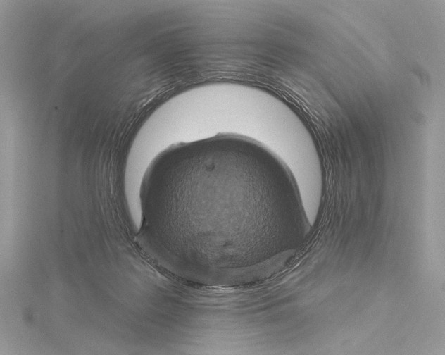 X0000115450219200912021013