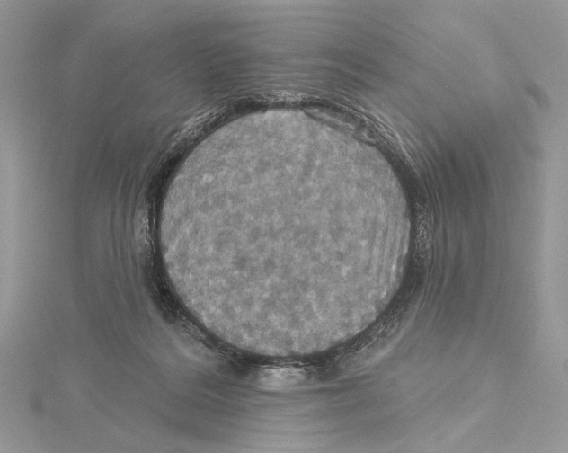 X0000115450220200912021013