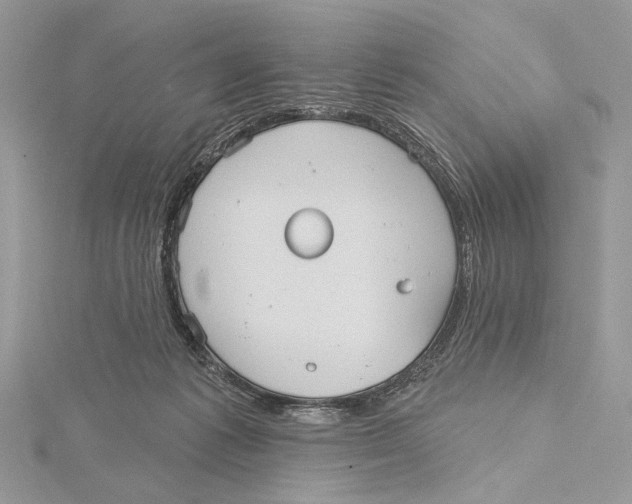 X0000115450221200912021013