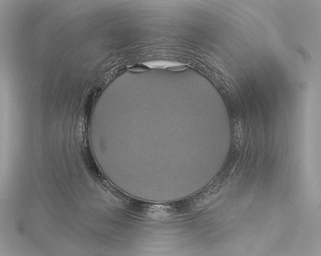 X0000115450222200912021013