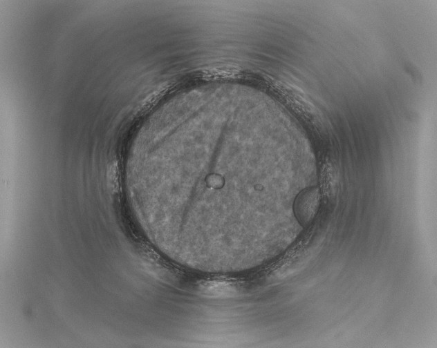 X0000115450224200912021013