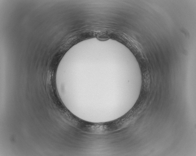 X0000115450225200912021013