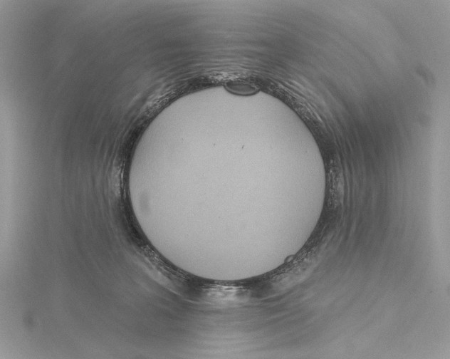 X0000115450227200912021013