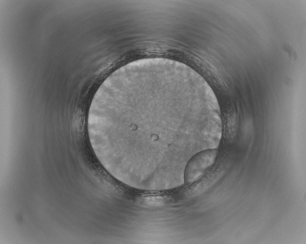 X0000115450228200912021013