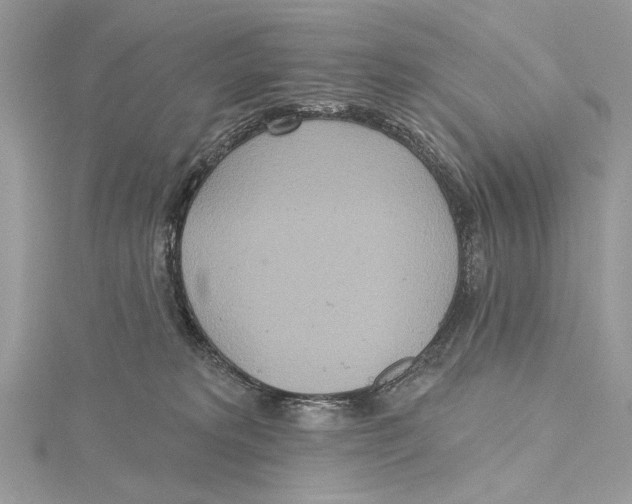 X0000115450229200912021013