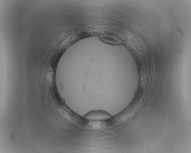 X0000115450231200912021013