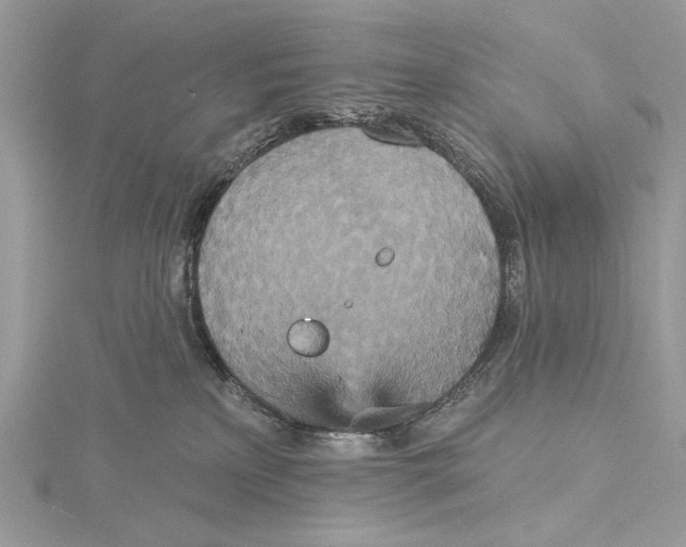 X0000115450233200912021013