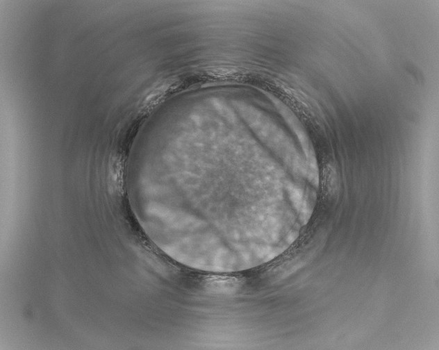 X0000115450234200912021013