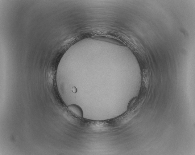 X0000115450235200912021013