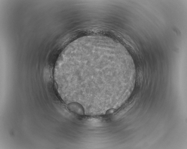 X0000115450236200912021013